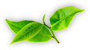 AG亚娱「中国」官方网站 - Asia Gaming